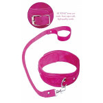 Pink Leash & Collar